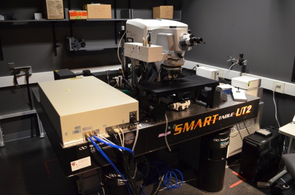 HCBI: Zeiss 2-Photon Time-Lapse