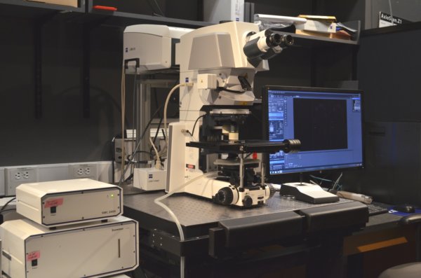 HCBI: LSM 880 Upright #2