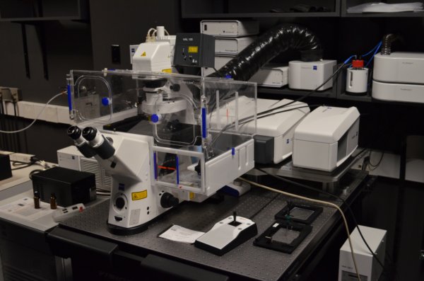 HCBI: Zeiss 880 + Airyscan + Incubation Off Hours