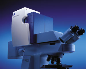 LSM 510 Upright Confocal