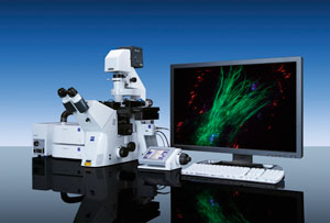 Zeiss Cell Observer Short-Term Use