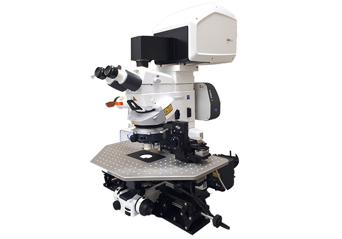 HCBI: LSM 900 Upright