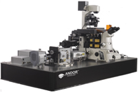 Spinning Disk Confocal