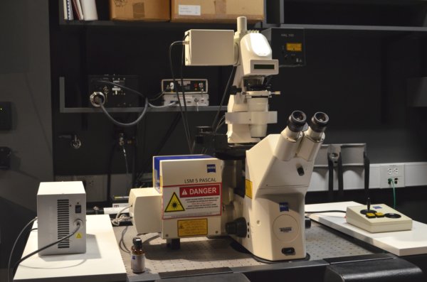 HCBI: Zeiss LSM Pascal Inverted